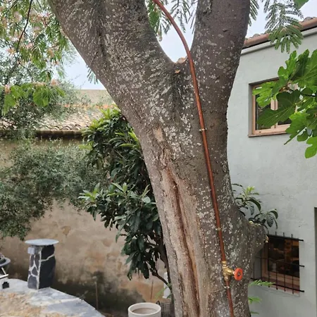 Holiday home Casa Gall