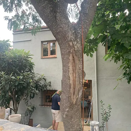 Casa Gall * Espolla